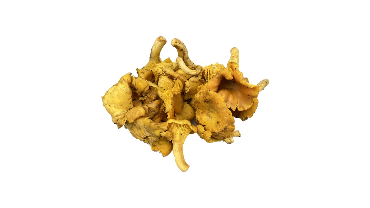 Svampe Kantareller 1 kg