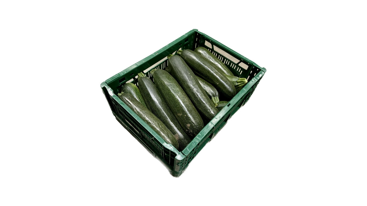 Øko Courgetter Squash 5kg