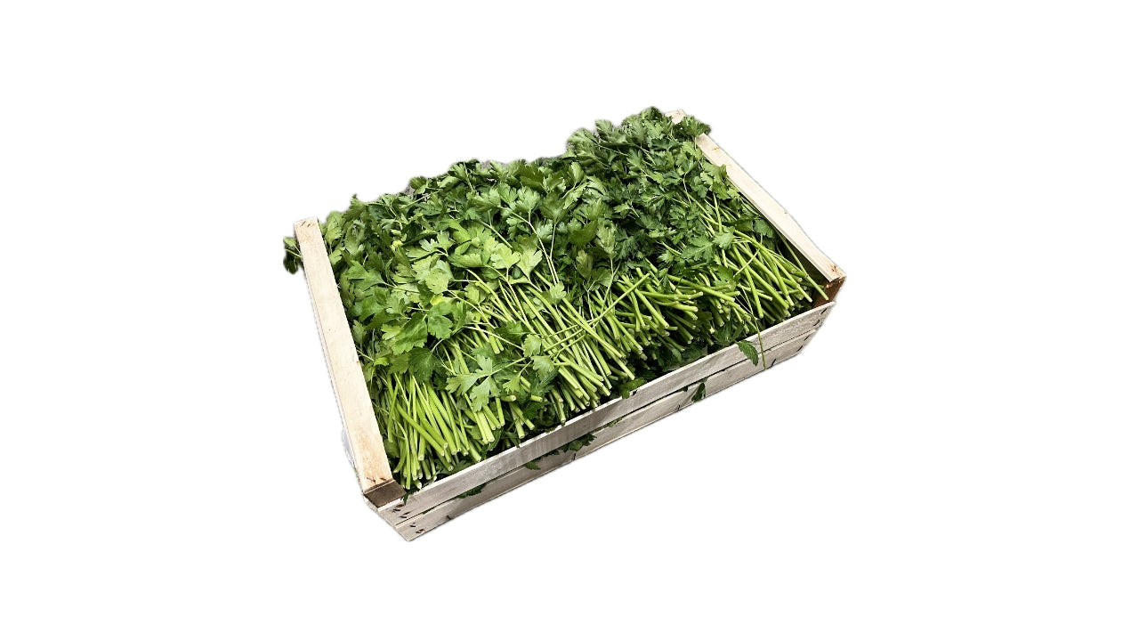 Persille bredbladet 5 kg