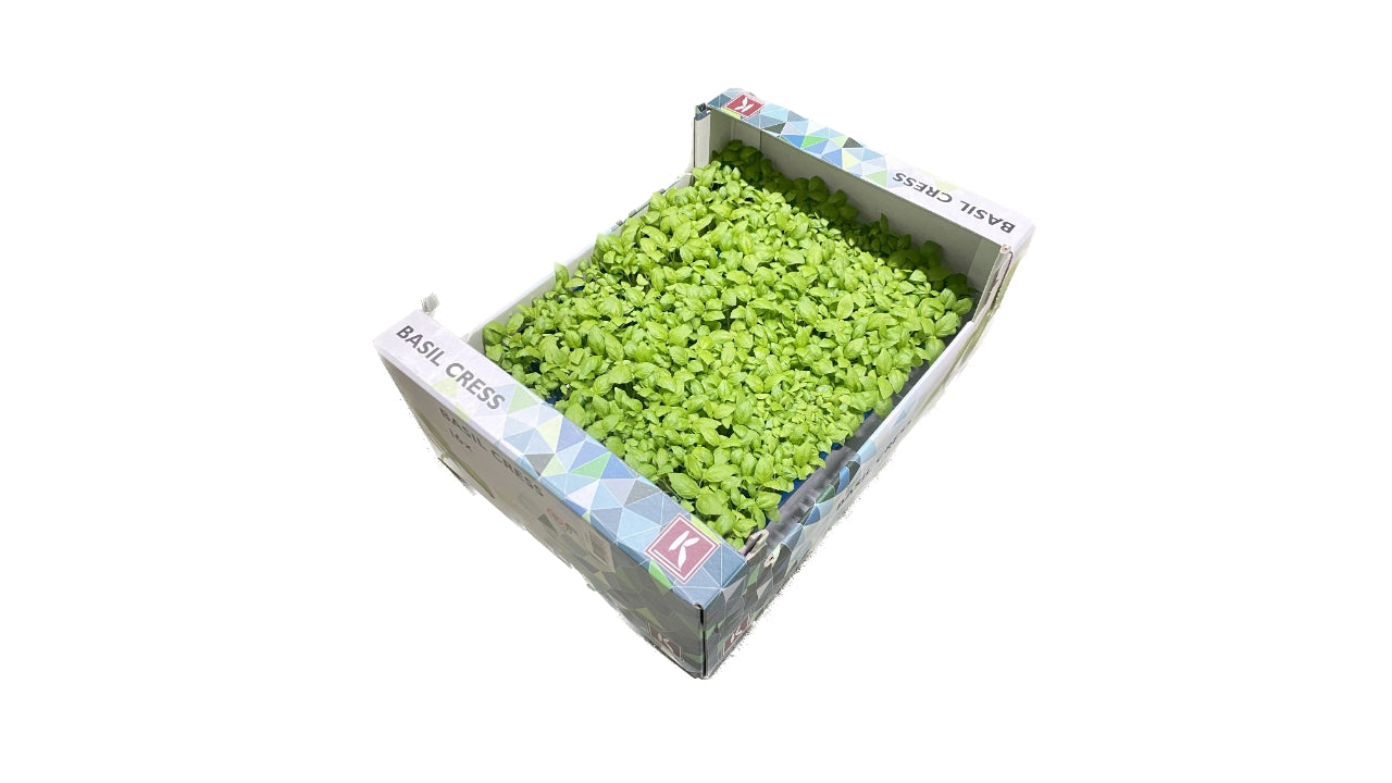 Cress Basil