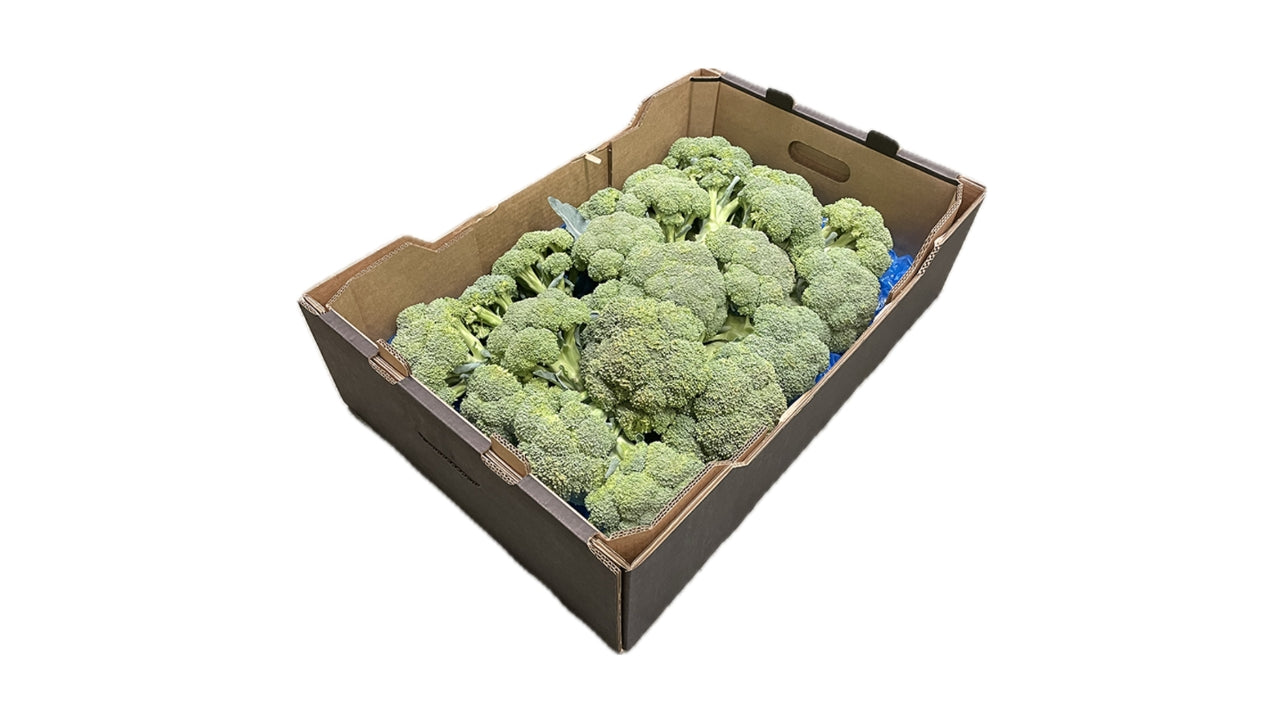 Øko Broccoli u/film 6 kg