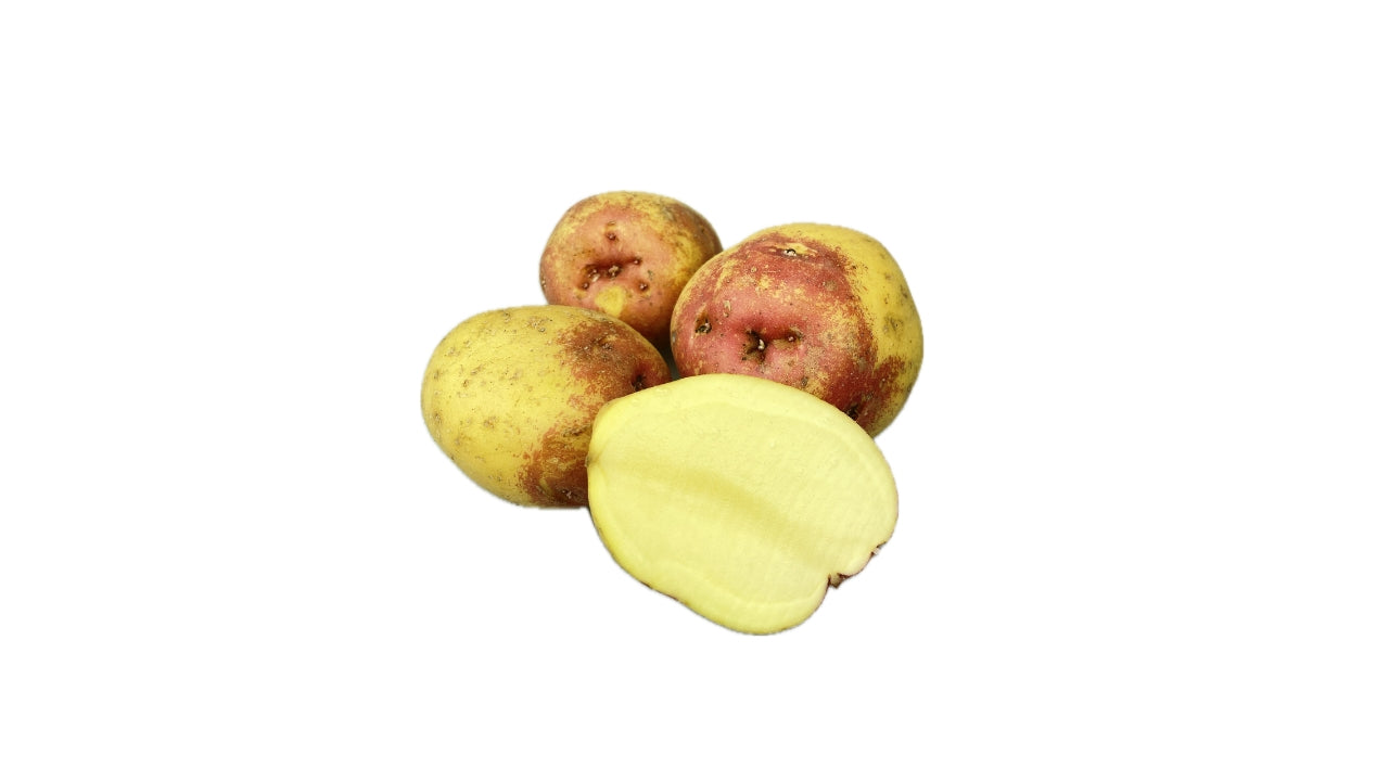 Kartofler King Edward 10 kg