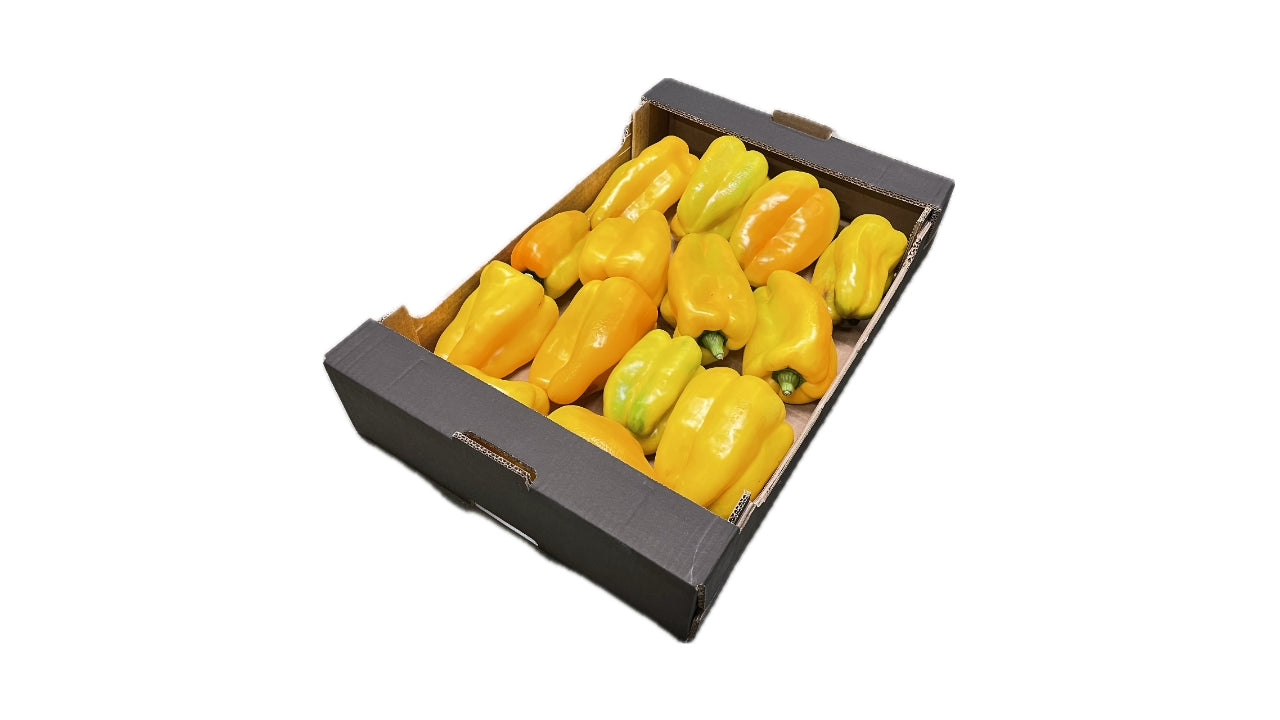 Peber Gul store 100/120mm "Lamuyo" 5kg