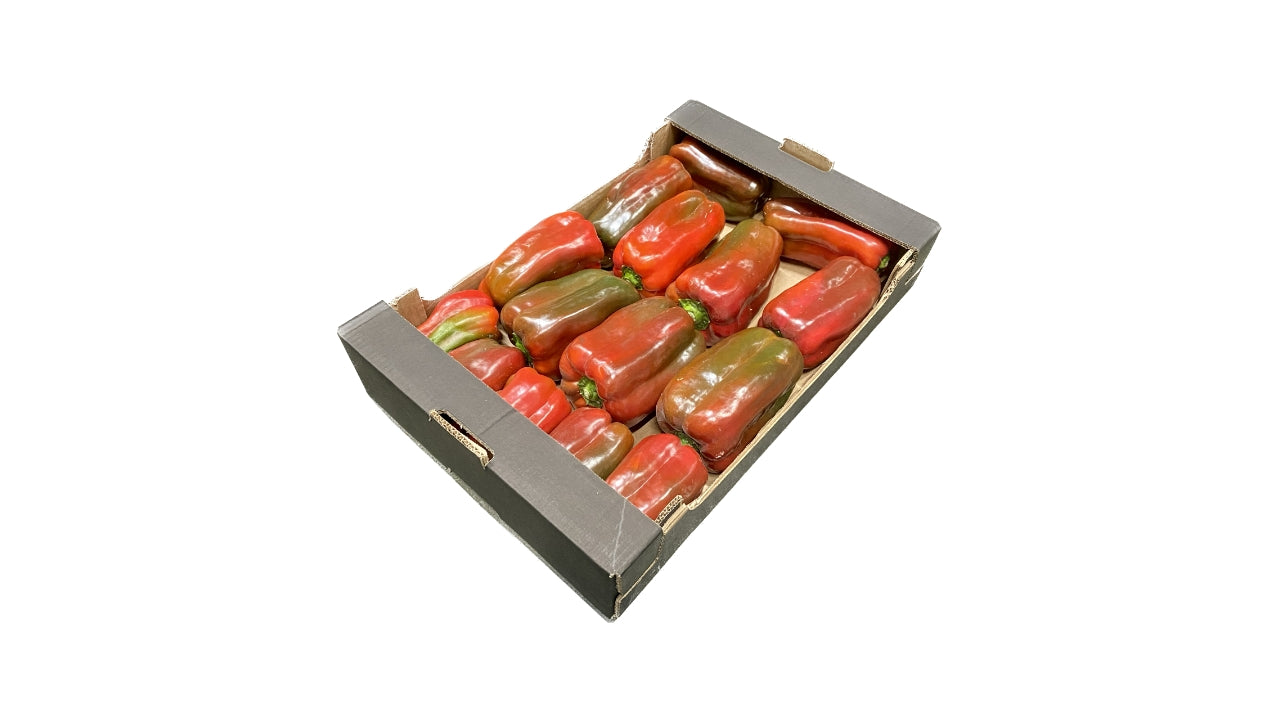 Peber Rød store 100/120mm "Lamuyo" 5kg