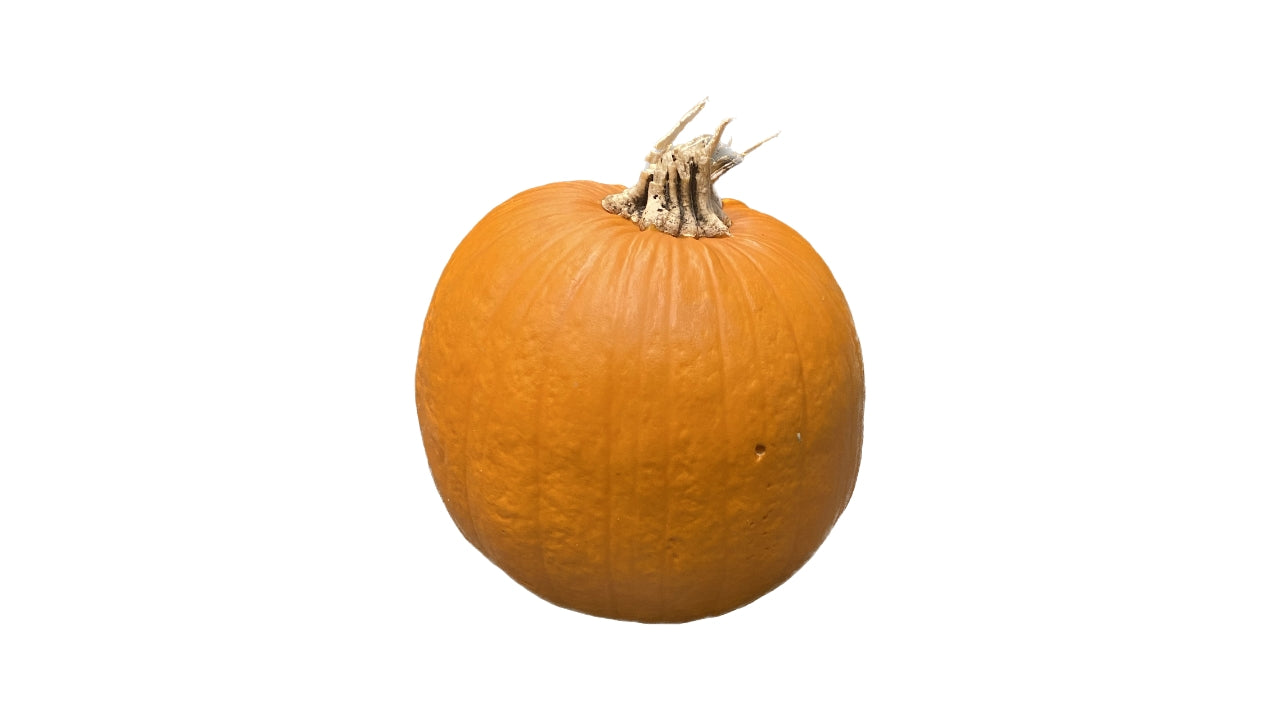 Græskar Halloween (24)