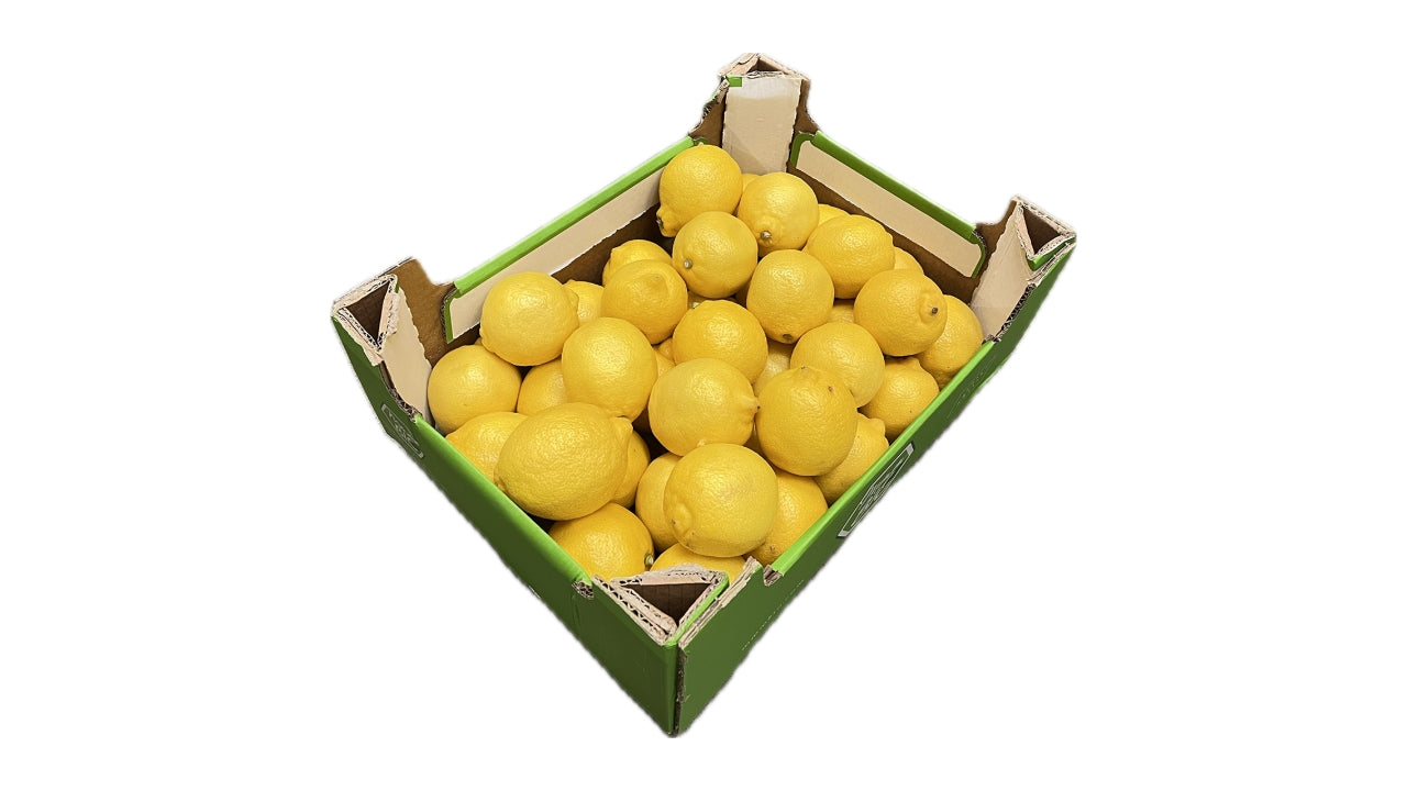 Øko Citroner 6 kg