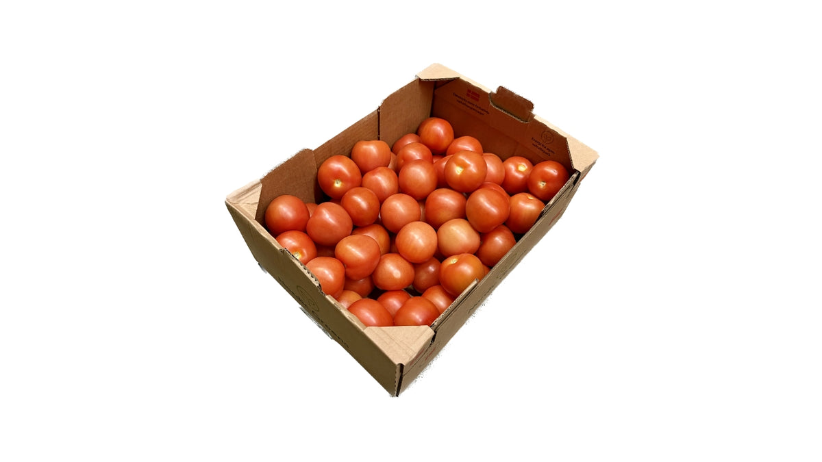 Øko Tomater 6 kg