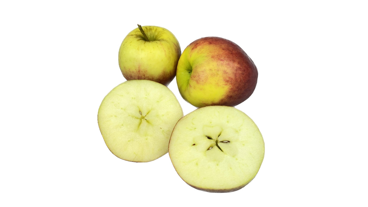 Æbler Rubens 63/73mm ca 55 stk