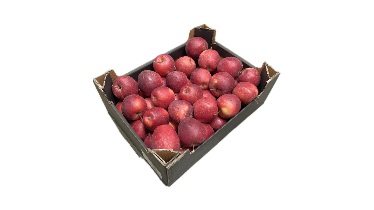 Øko Æbler røde Cripps 6 kg kl.2