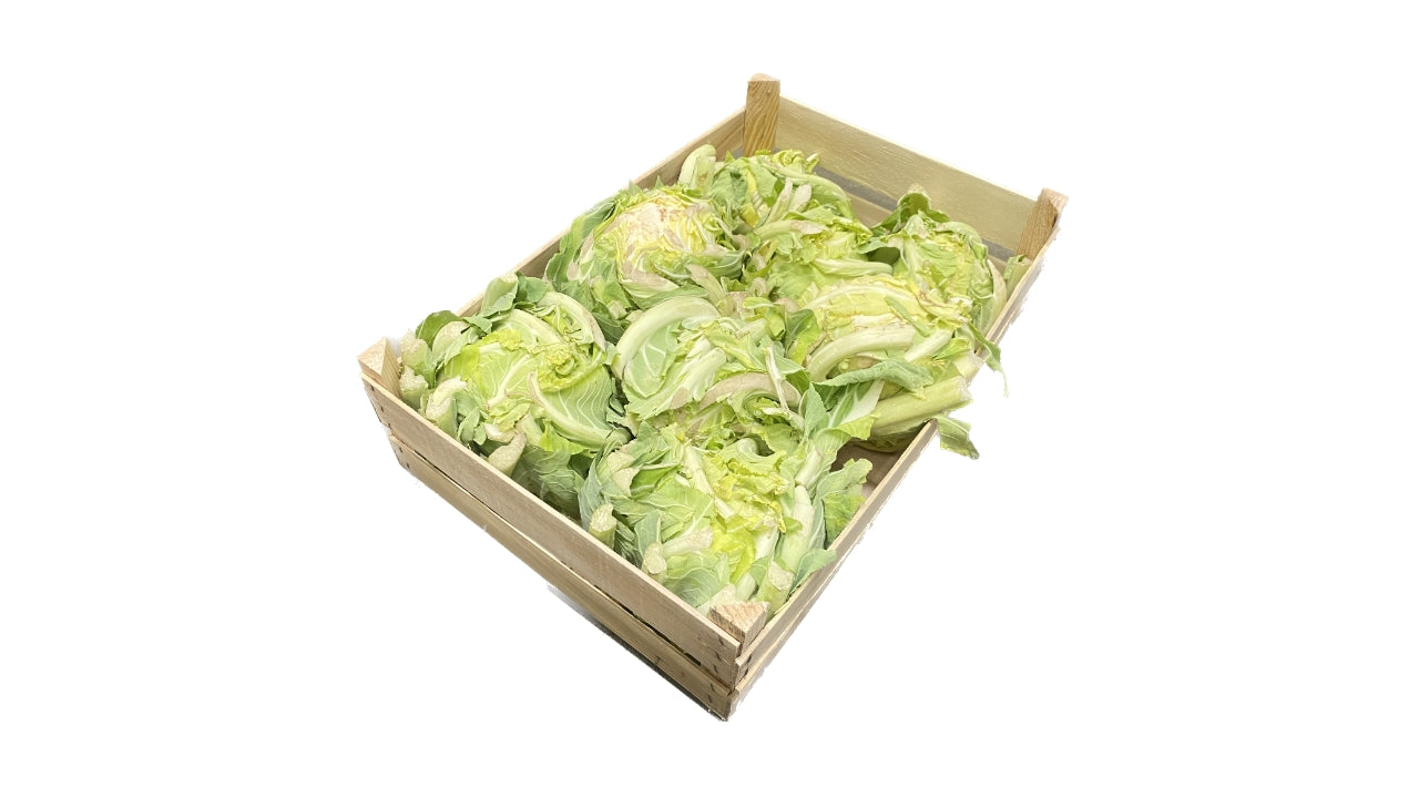 Blomkål u/film 8 stk min 5kg kl.2