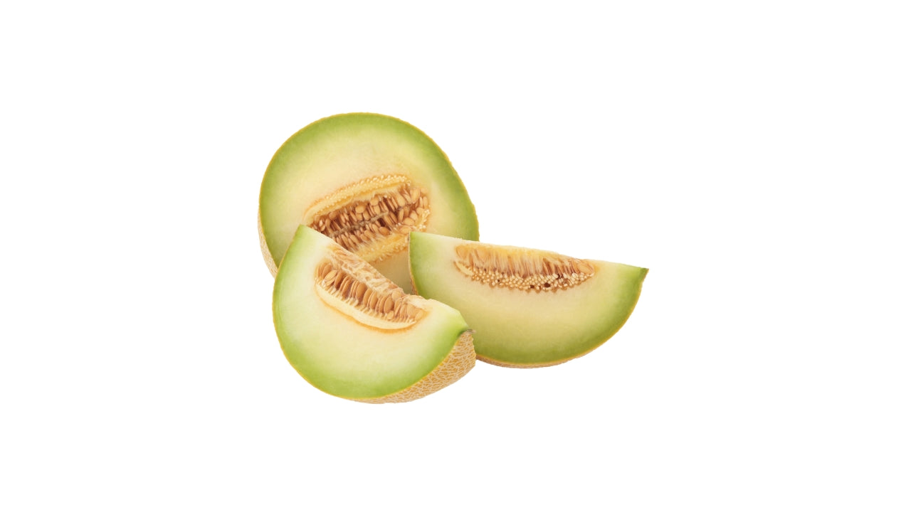 Melon Galia (6)