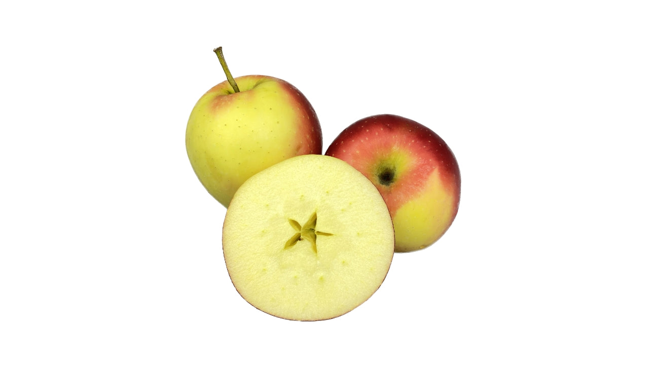 Æbler Gala Must (84)