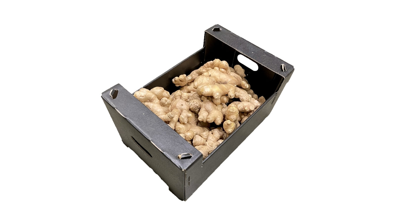 Øko Ingefær 2 kg