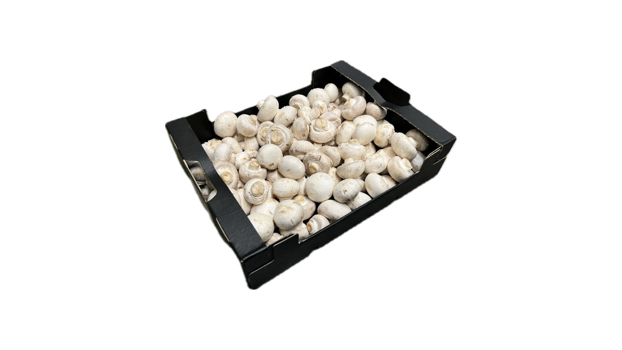 Øko Champignon DK 2,5 kg