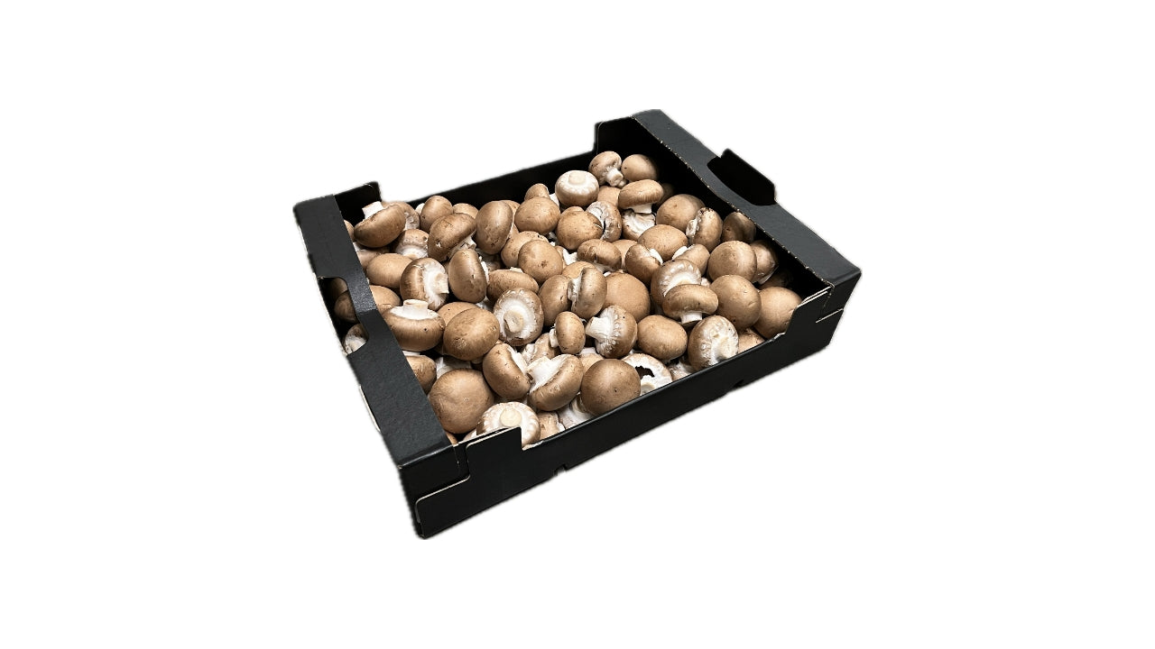 Øko Champignon Mark DK 2,5 kg
