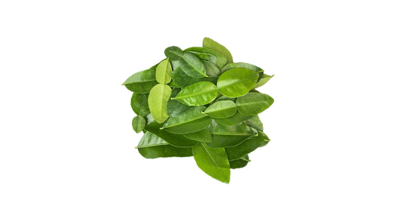 Kafir Lime Blade 25 stk (2)