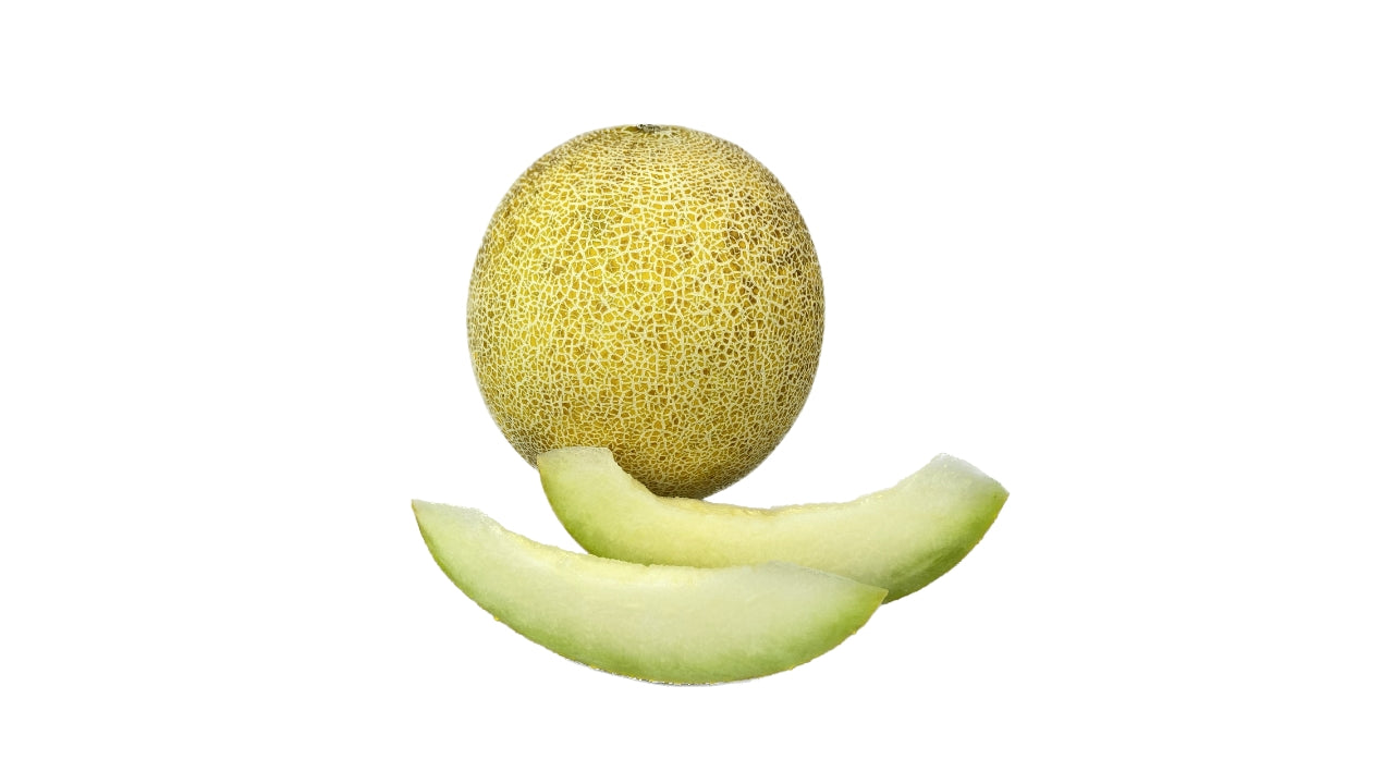 Melon Galia (6)