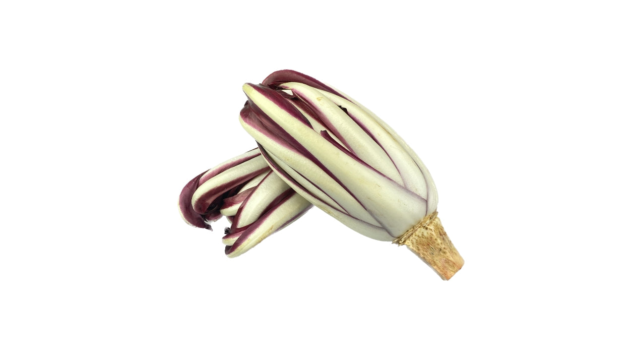 Salat Radicchio Tardivo Finger (10)