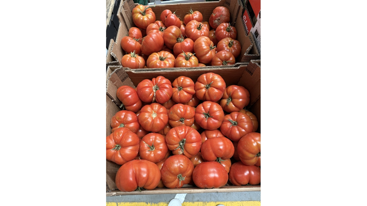Øko Tomater Raftomater 6kg kl.2