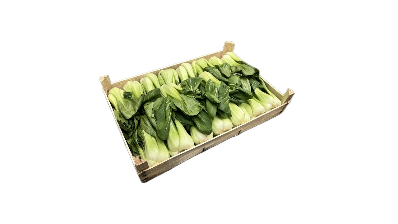 Pak Choy 20-30 stk 5 kg