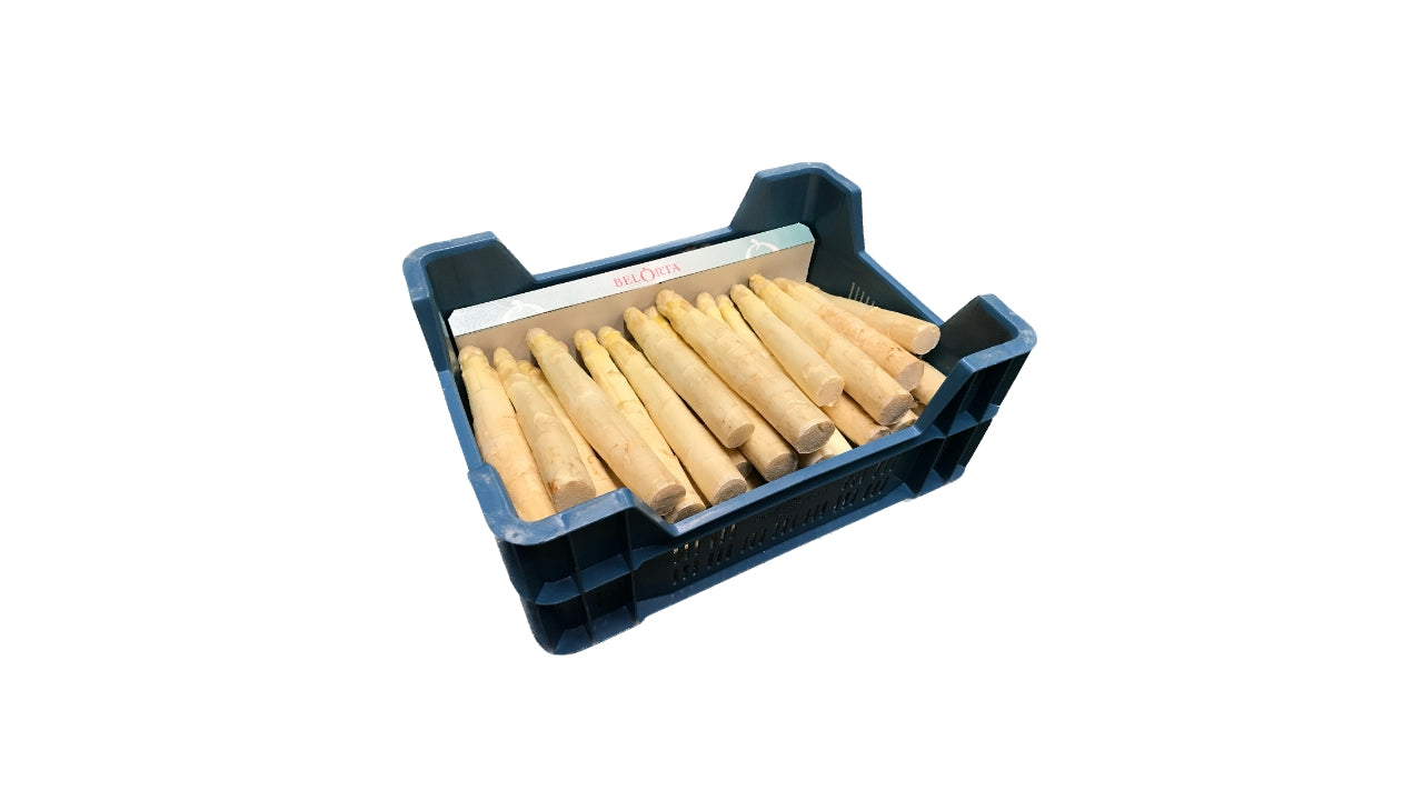 Asparges hvid AA store 5 kg