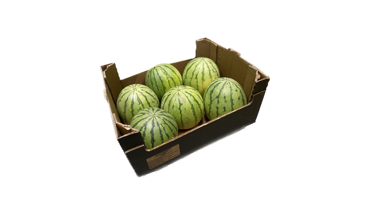 Melon Vandmelon (6) kl.2