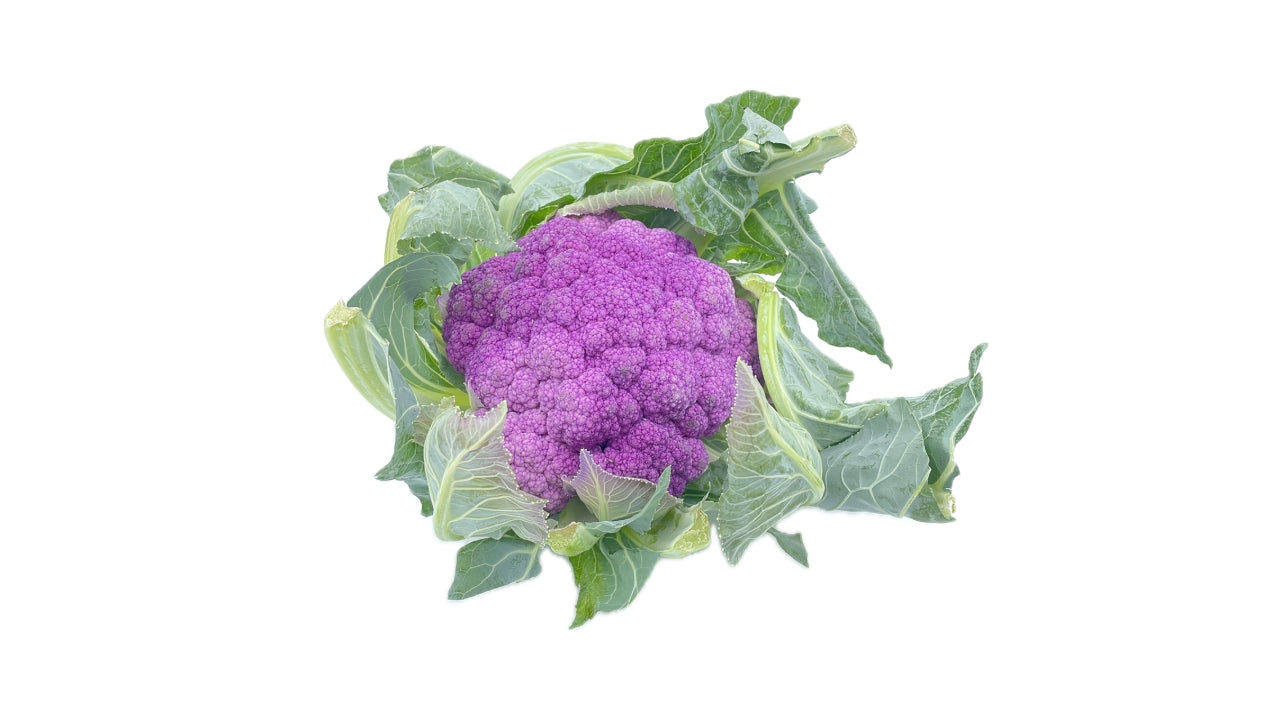 Blomkål lilla (8)