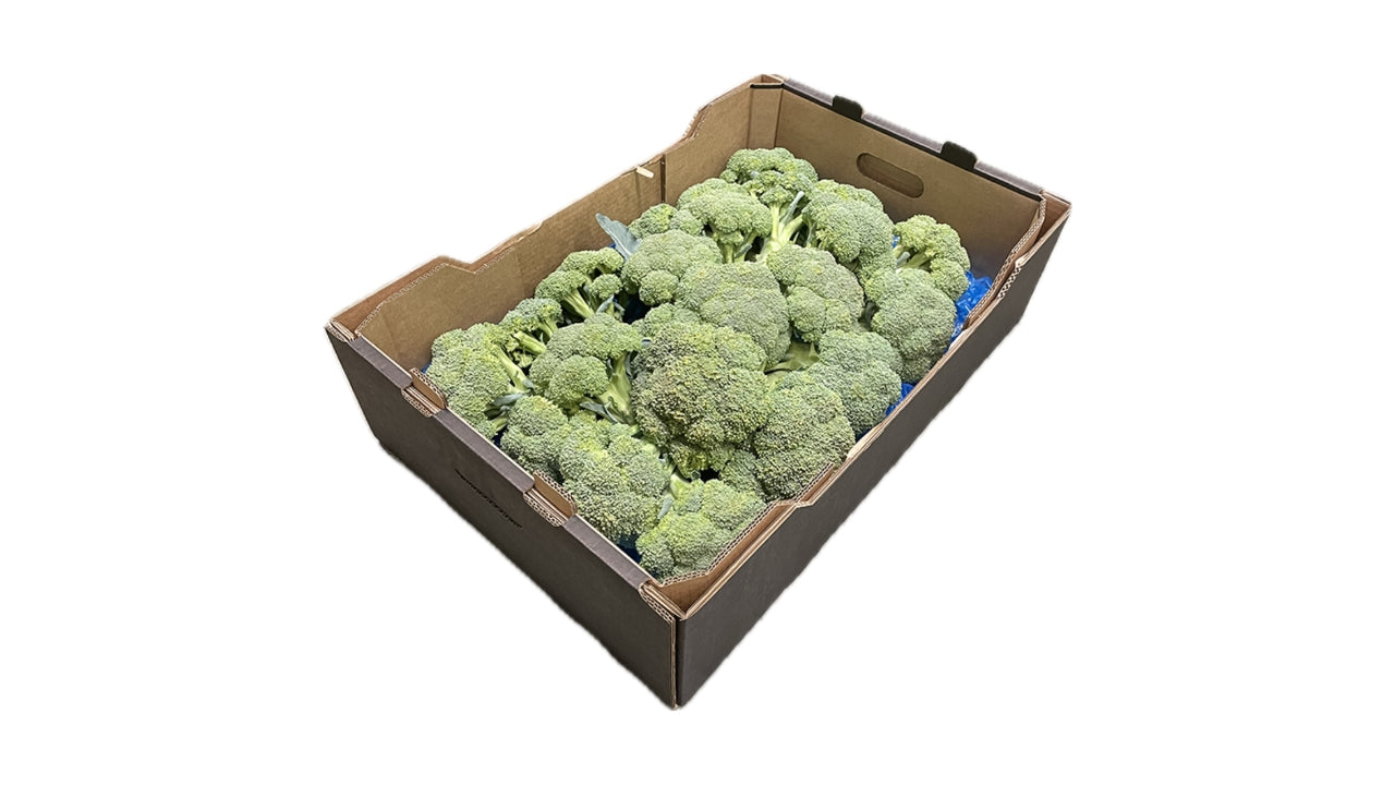 Øko Broccoli DK løse u/film 5 kg