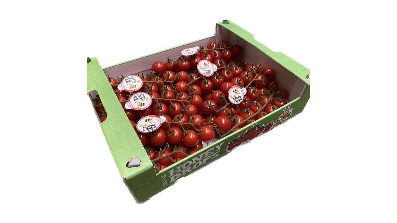 Øko Tomater Cherry stilk 4kg