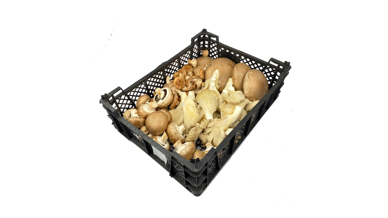 Svampe mix 1,5kg