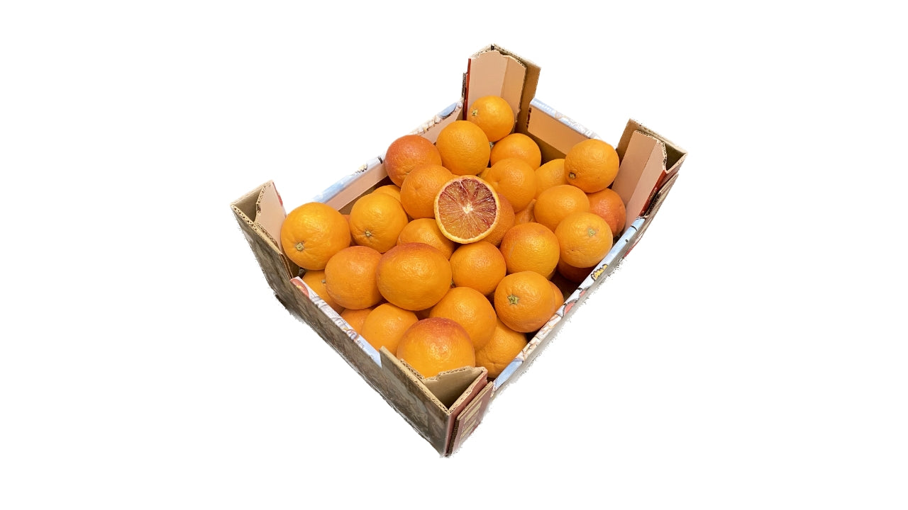 Øko Appelsiner Blod ca 35-40 stk