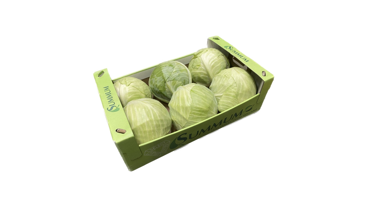 Øko Hvidkål u/film 6stk ca 10 kg