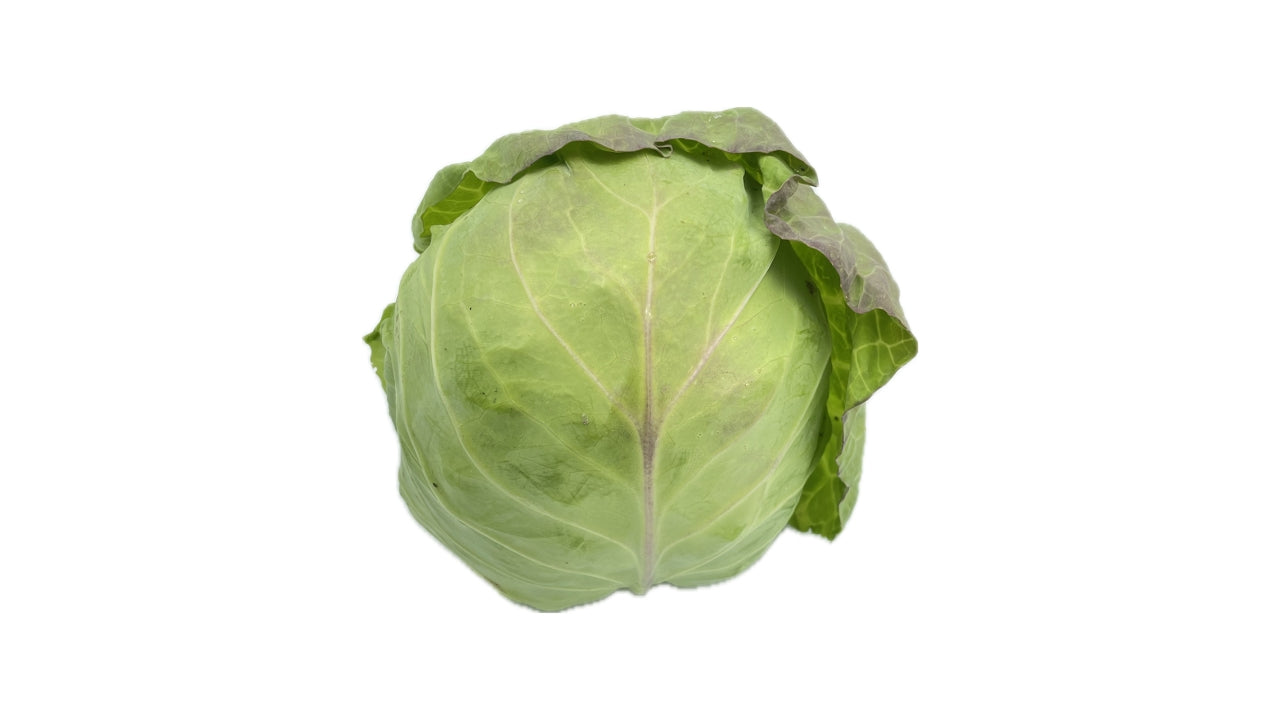 Hvidkål Sommerkål (8)