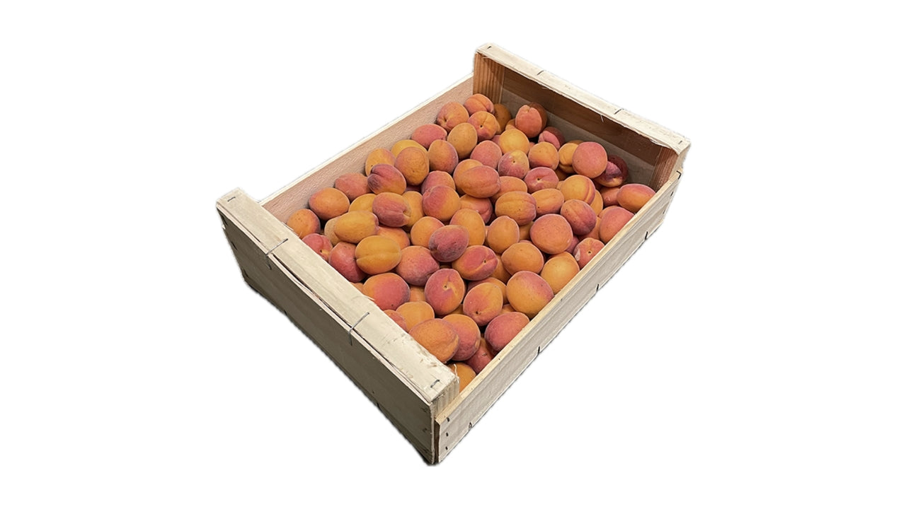 Abrikoser 5 kg