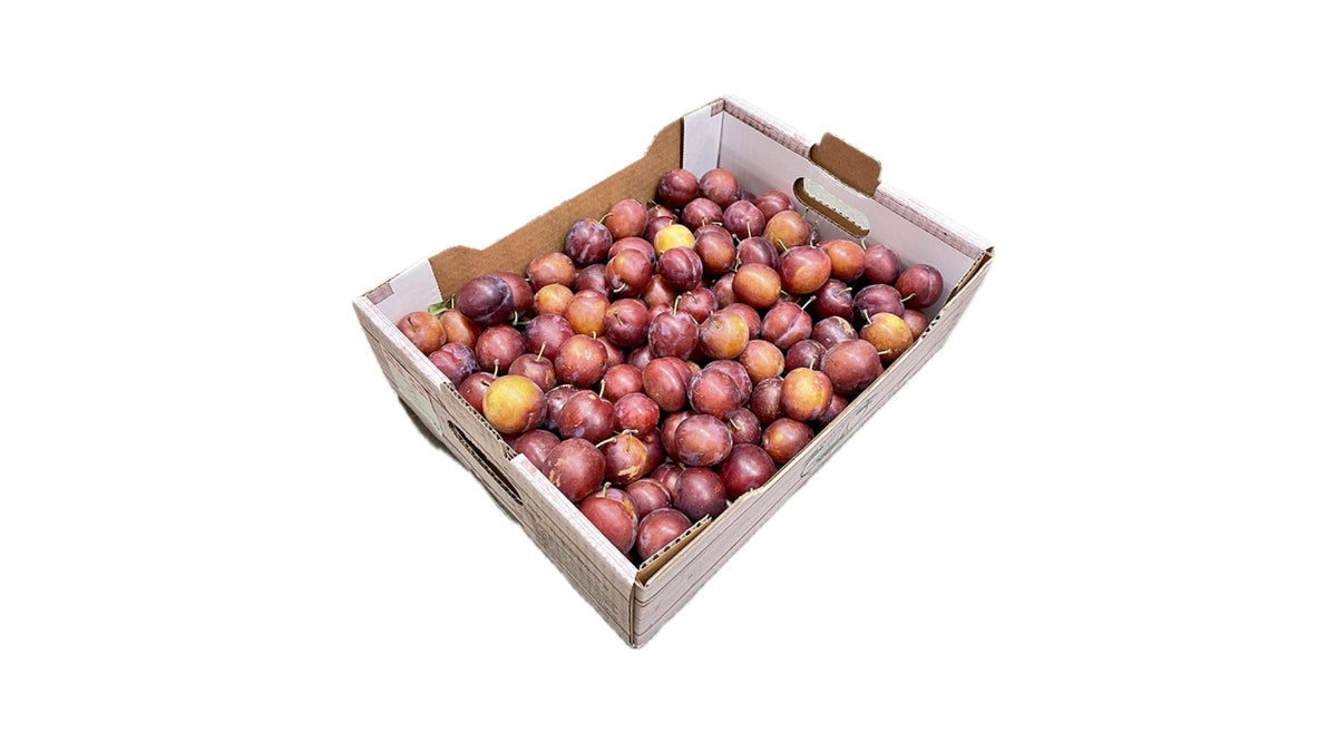 Blommer Topend 5 kg