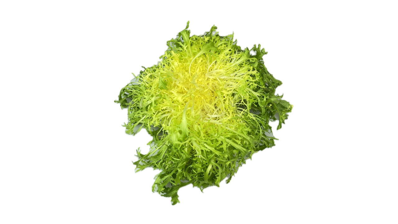 Salat Friseé gul (8)