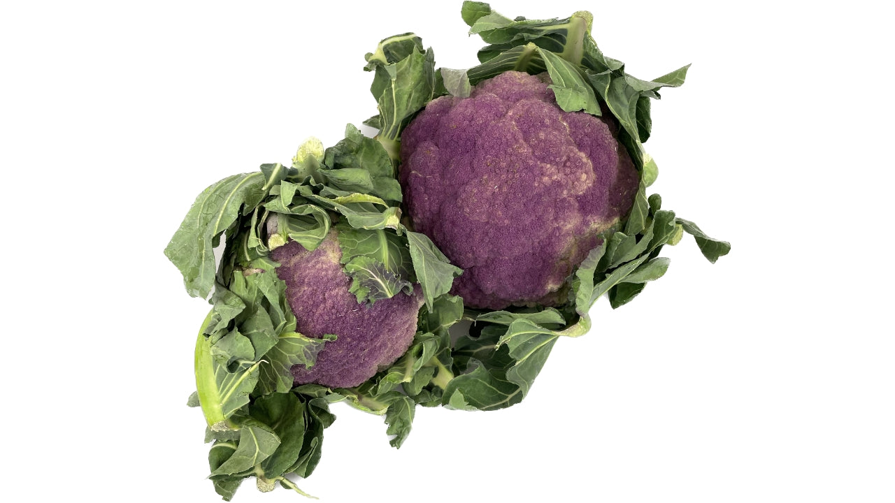 Blomkål Simone hvid/lilla (8)