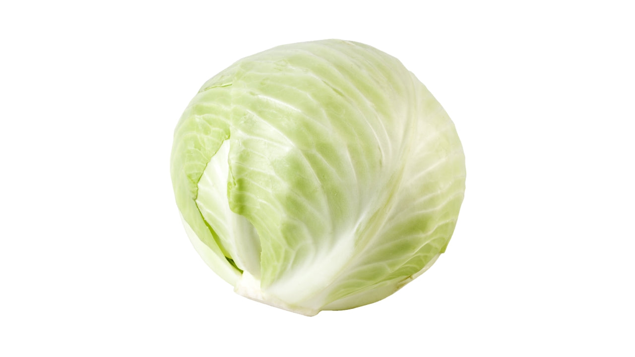 Hvidkål DK (6)