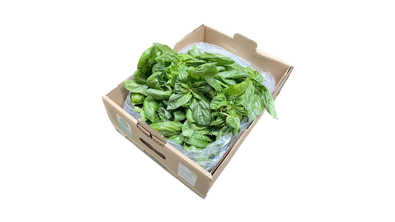 Øko Basilikum grøn friland 1kg