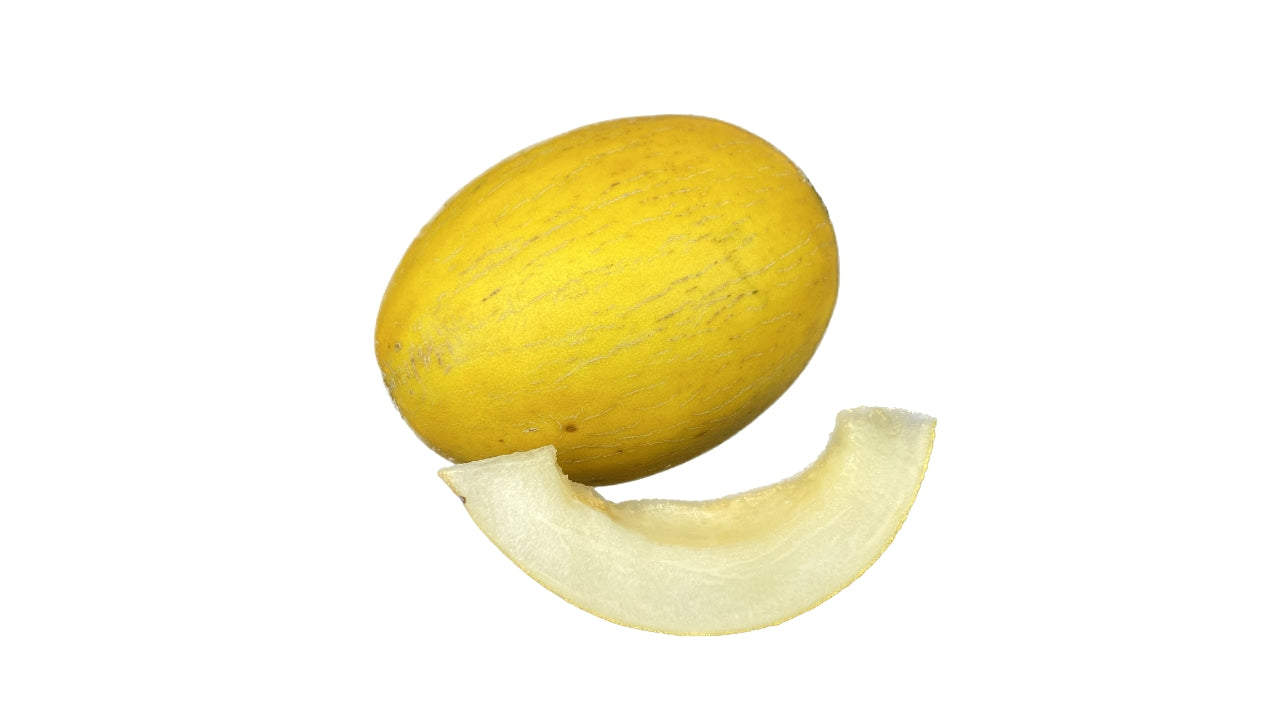 Melon Honning gul (6)