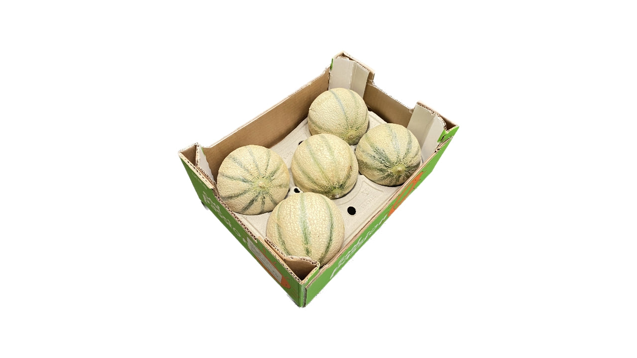 Melon Cantaloup 4/5 stk kl.2