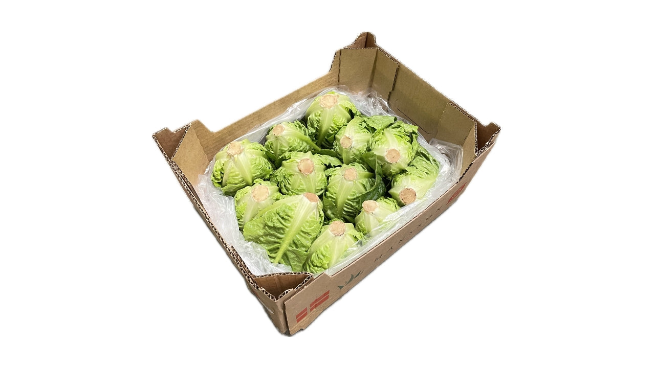 Øko Salat Hjertesalat 12stk ca 2kg