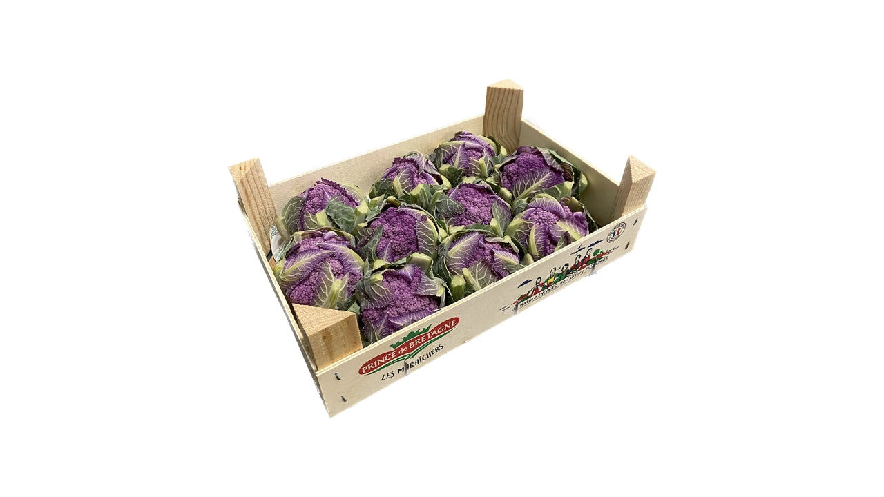 Mini Blomkål lilla 10stk