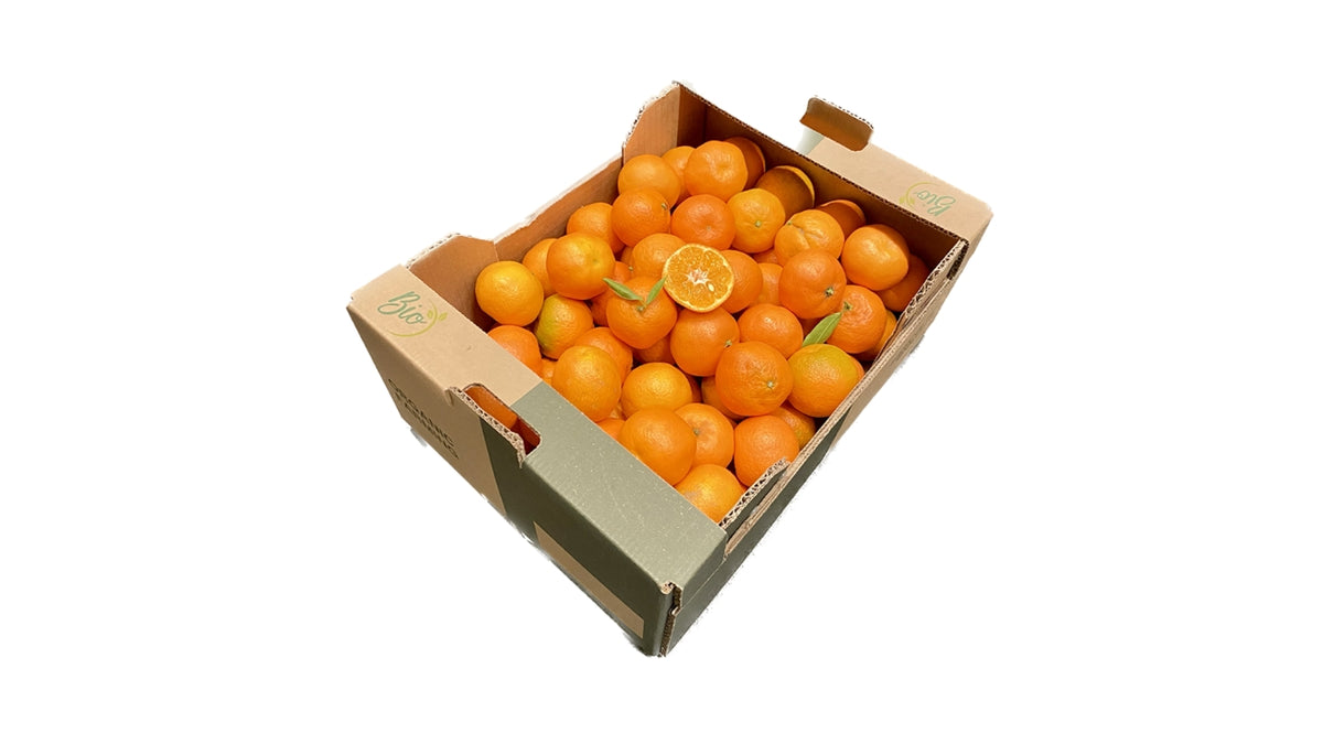 Øko Klementiner ca 85 stk ca. 6kg