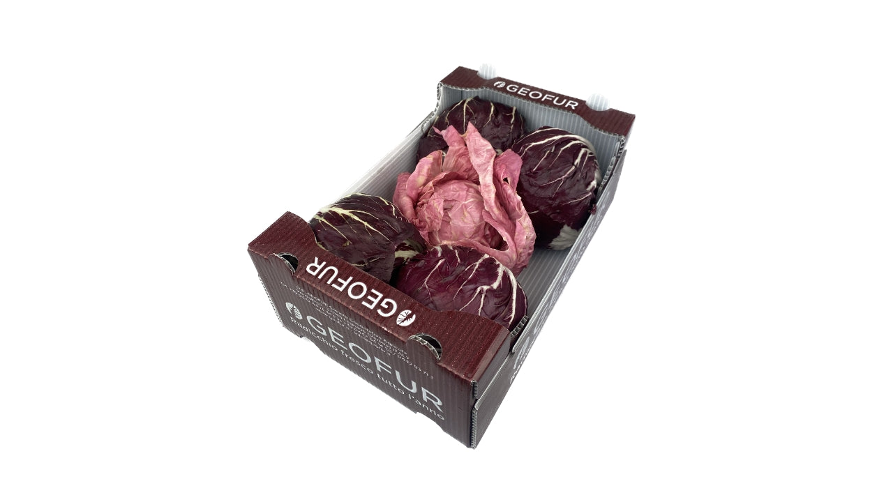 Salat Radicchio mix rosa let bitter 1kg