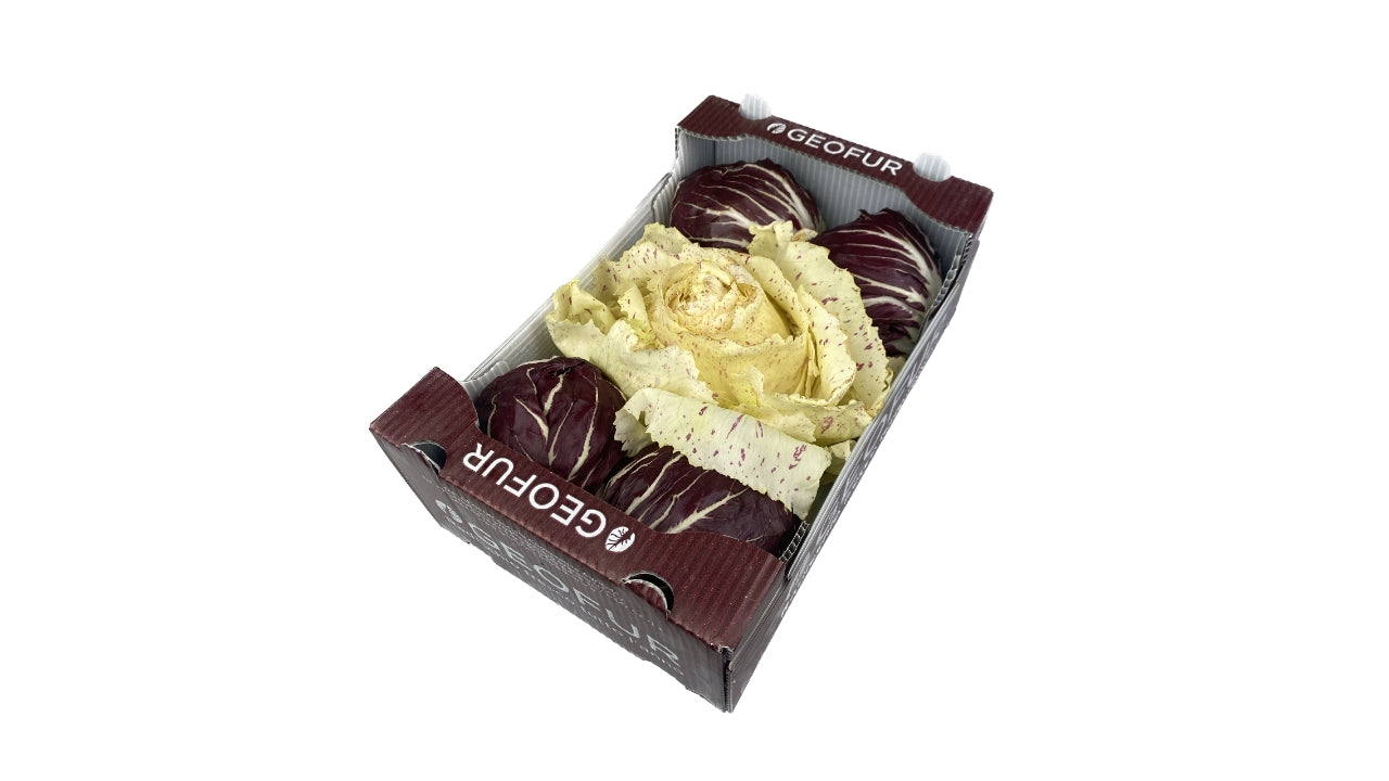 Salat Radicchio Variegato mix let bitter