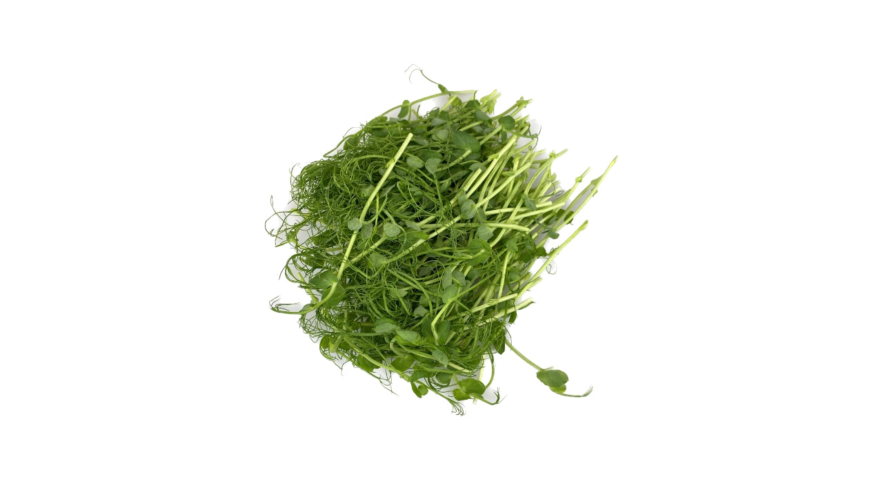 Øko Ærteskud afskåret 50g (16)