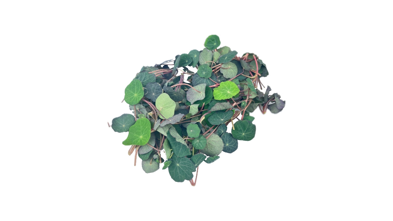 Øko Tallerkensmækker afskåret 50g (16)