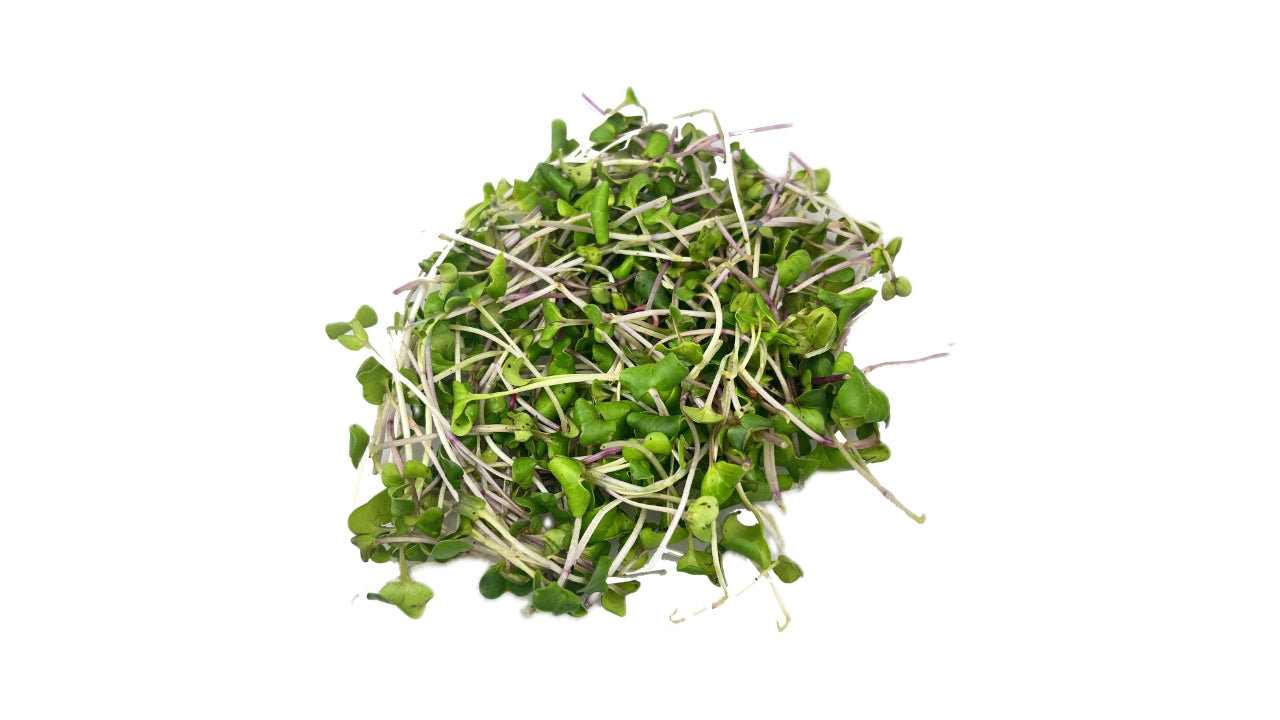 Øko China Rose afskåret 50g (16)