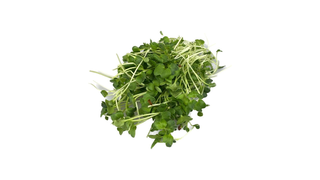 Øko Daikon karse afskåret 50g (16)